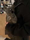 sophiecharlotth Altpins Profile Picture