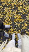 mishel_d_ Altpins Profile Picture