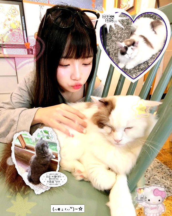 ____sy.02 instagram image archive image