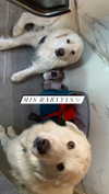 analuvillarreal Altpins Profile Picture