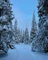 rouxroux.tv Altpins Profile Picture