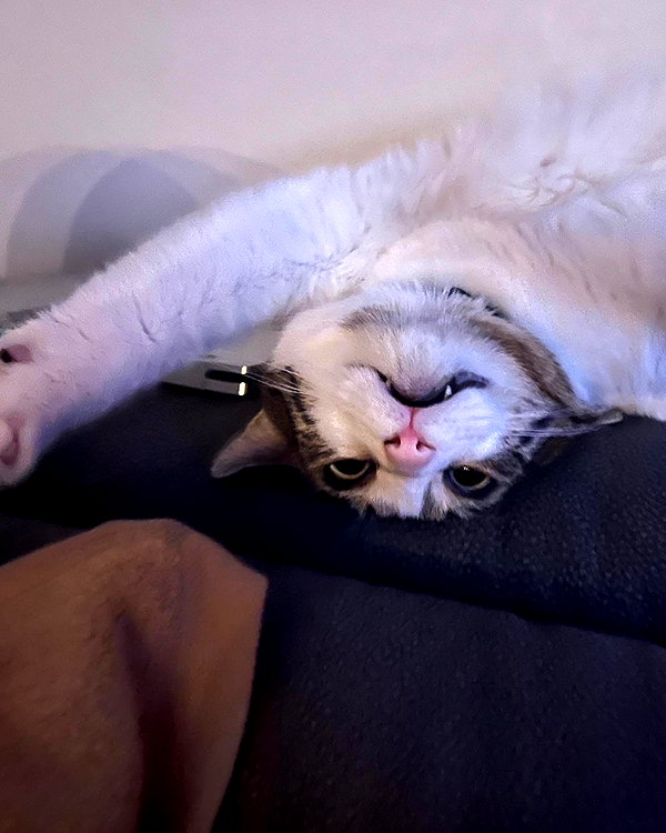 peachtoot.plz instagram image archive image