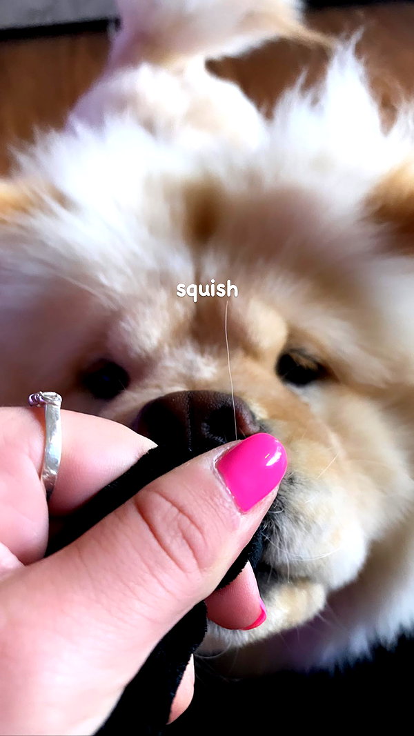 chloerosenbaum instagram image archive image