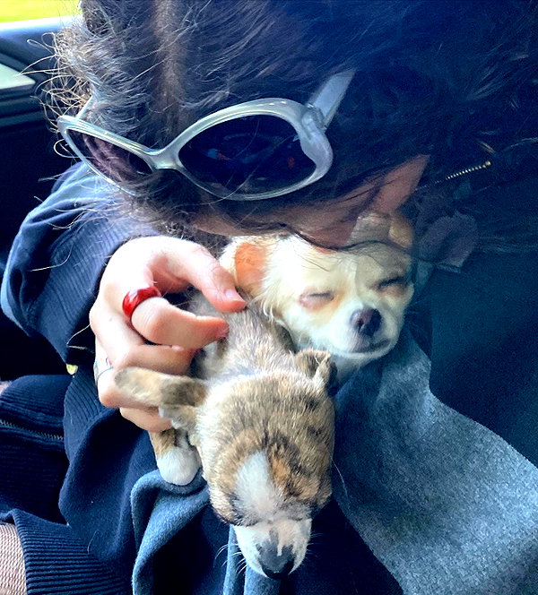 Archived image from @lolabllue on Instagram