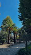 ancideja Altpins Profile Picture