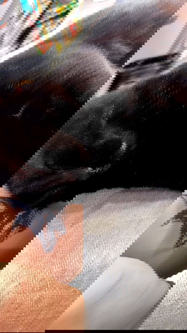 mishel116 mishel116 archive image