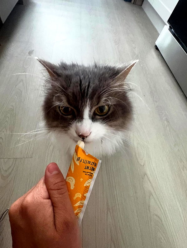 ohheyanastasia instagram image archive image