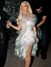 xtina Altpins Profile Picture