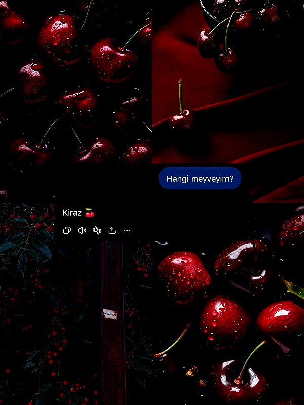iremb.8l instagram image archive image