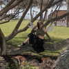 f4iryybl00d Altpins Profile Picture