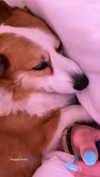 lizrrossi Altpins Profile Picture