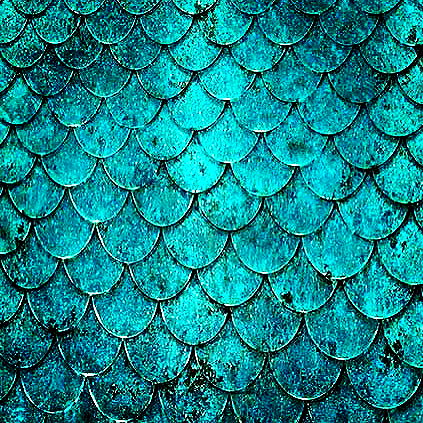 sashapieterse instagram image archive image