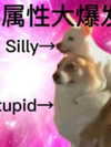 milkibunshehe Altpins Profile Picture