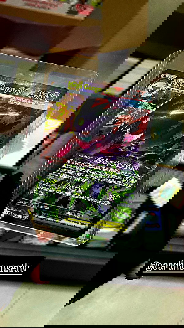 rose_xanne rose_xanne archive image