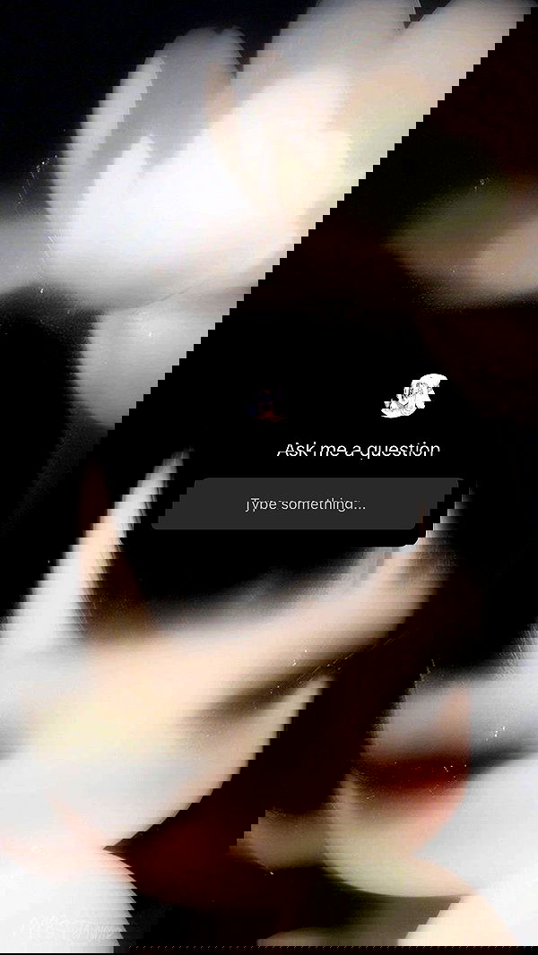 katanires katanires archive image