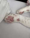 mariagabrielasantos Altpins Profile Picture