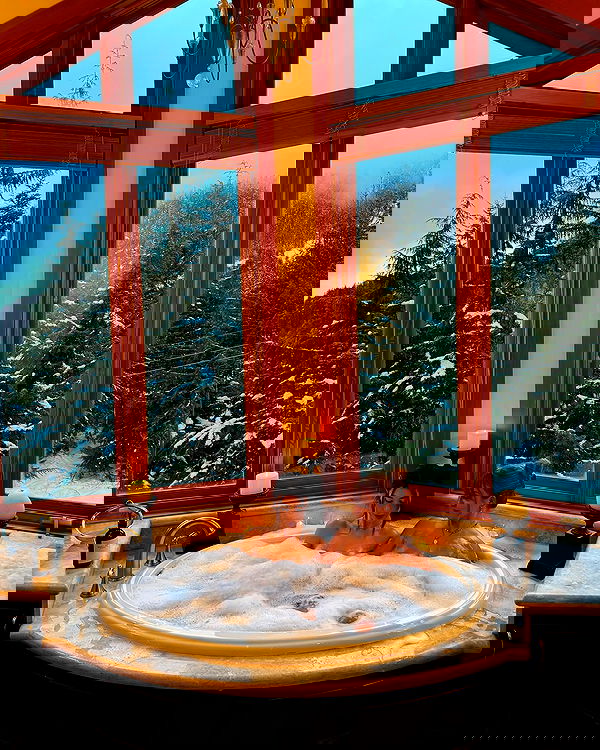 paigeinsco paigeinsco archive image