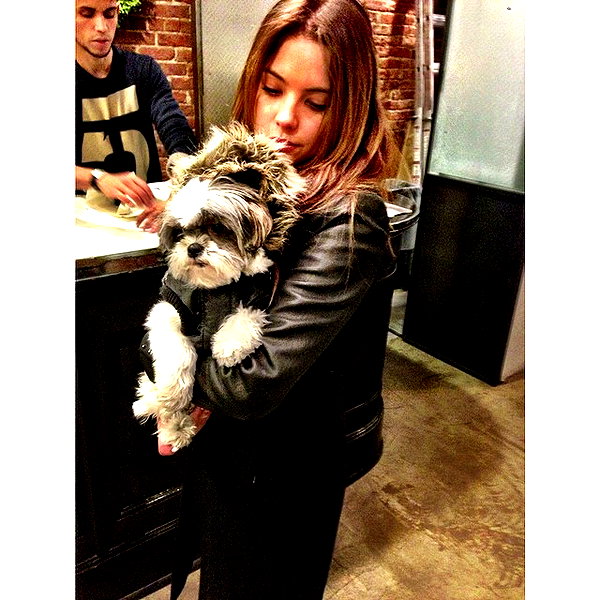 ashleybenson instagram image archive image