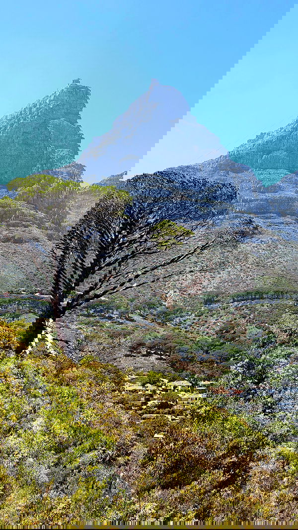 taylor.creeden taylor.creeden archive image