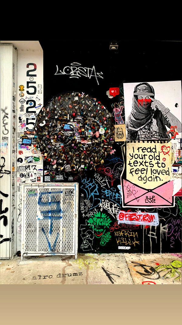 shakeddri shakeddri archive image