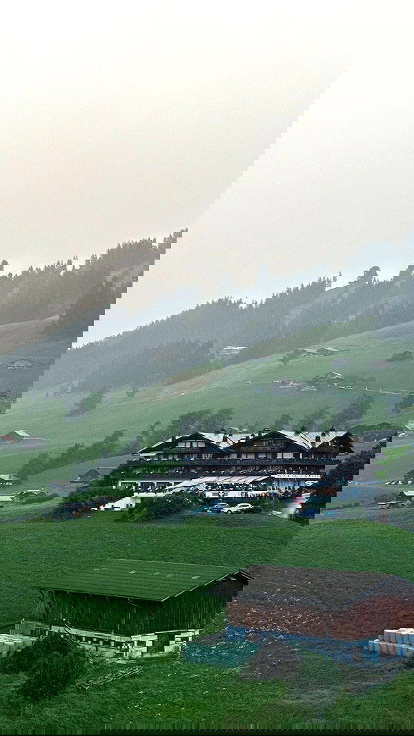 taylor.creeden taylor.creeden archive image