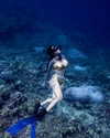 darkstar_mia Altpins Profile Picture