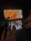 0nlygrlinthewrld Altpins Profile Picture