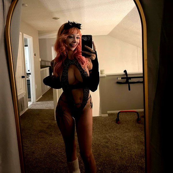 pixelpuppi instagram image archive image