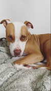 _mashachka_ Altpins Profile Picture