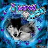 carmaxlla Altpins Profile Picture
