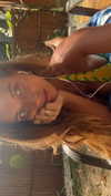 pia__kim Altpins Profile Picture