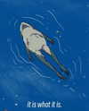 ellaexplicit_ Altpins Profile Picture