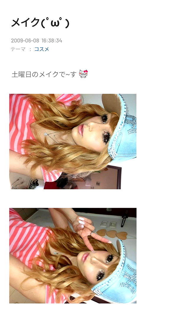 piyokoblog archive image