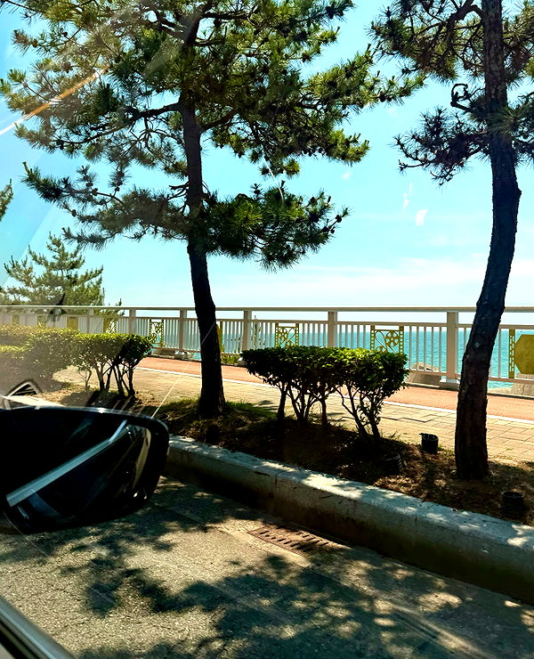 _suxung instagram image archive image