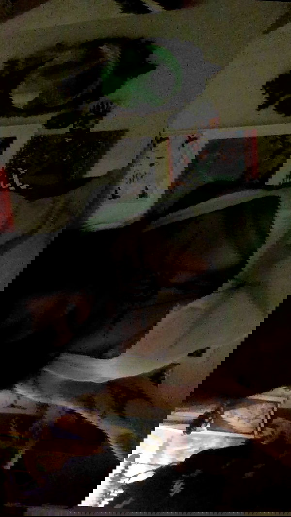 zommmbri zommmbri archive image