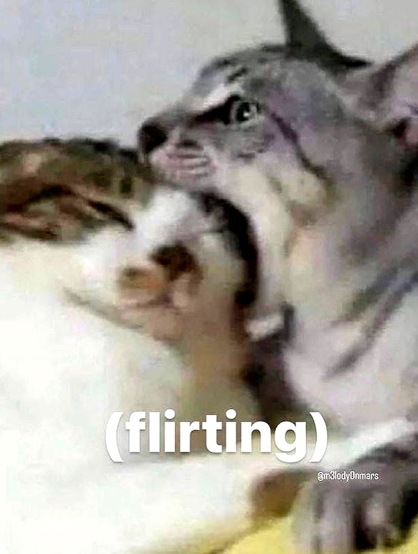 milkiwifey instagram image archive image