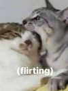 milkiwifey Altpins Profile Picture