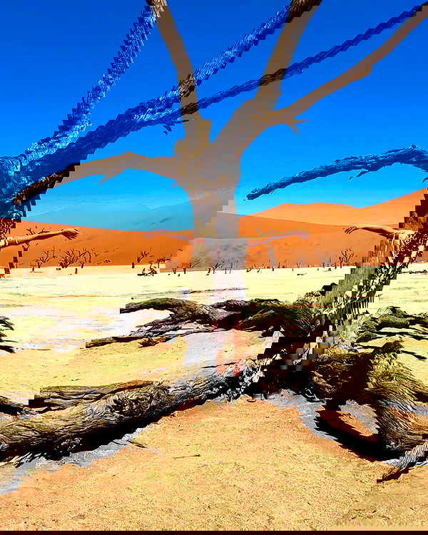 taylor.creeden taylor.creeden archive image