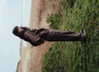 ccbaum Altpins Profile Picture