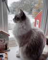 catl0verr69 Altpins Profile Picture