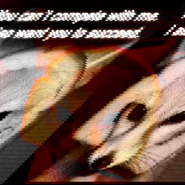 missnyxdawn missnyxdawn archive image