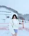 _ln.98 Altpins Profile Picture