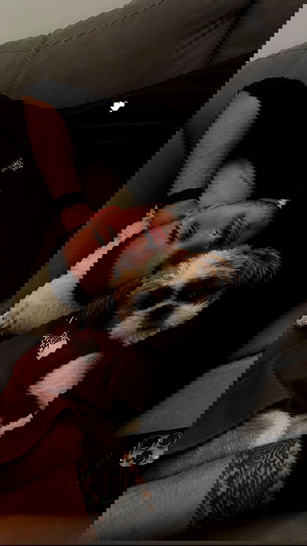 noammalka___ noammalka___ archive image