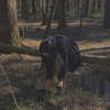 _dead__cherry_ Altpins Profile Picture