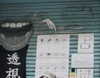 _satomort_ Altpins Profile Picture