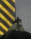 daryanedarya Altpins Profile Picture