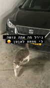 dante_yangpa Altpins Profile Picture