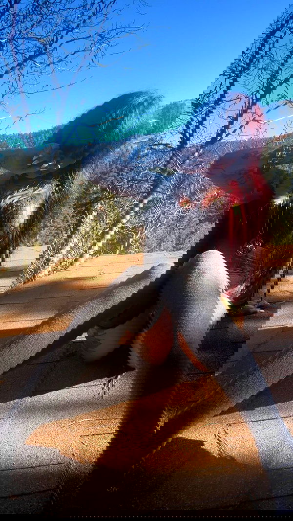 zommmbri zommmbri archive image