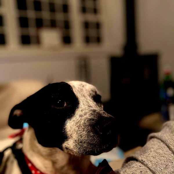 alexandradaddario instagram image archive image