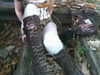 ash.onme Altpins Profile Picture